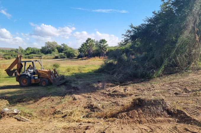 Nivelación del terreno y limpieza