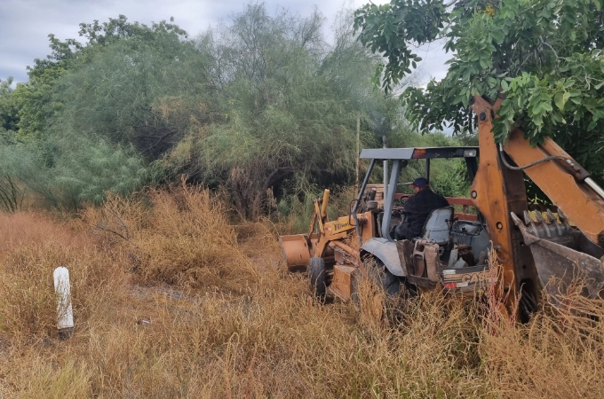 Limpieza y Preparación del terreno 